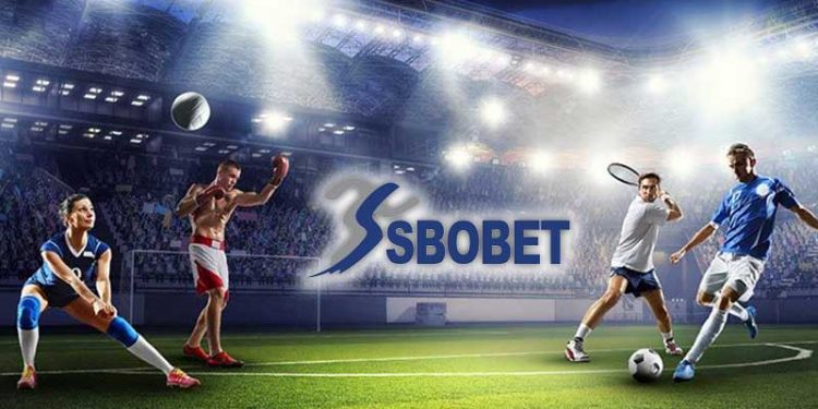 Judi Bola dan Statistik Pemain: Menggunakan Data untuk Menentukan Taruhan yang Tepat